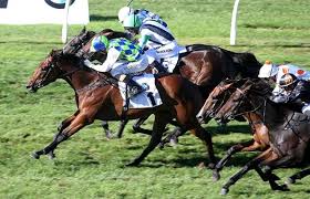 (Almost) Stealing the story at New Zealand Derby